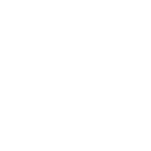 Ackerbohne