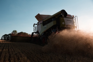 Traktor beim Dreschen