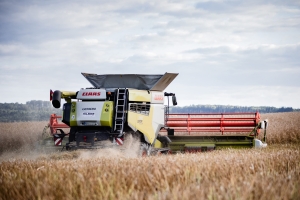 Traktor beim Dreschen