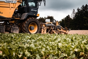 Traktor bei der Ernte